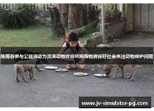 陈雨菲参与公益活动为流浪动物收容所捐赠物资呼吁社会关注动物保护问题 陈雨菲参与公益活动为流浪动物收容所捐赠物资呼吁社会关注动物保护问题