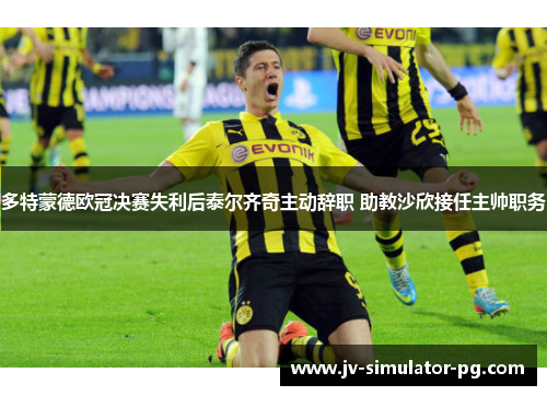 多特蒙德欧冠决赛失利后泰尔齐奇主动辞职 助教沙欣接任主帅职务